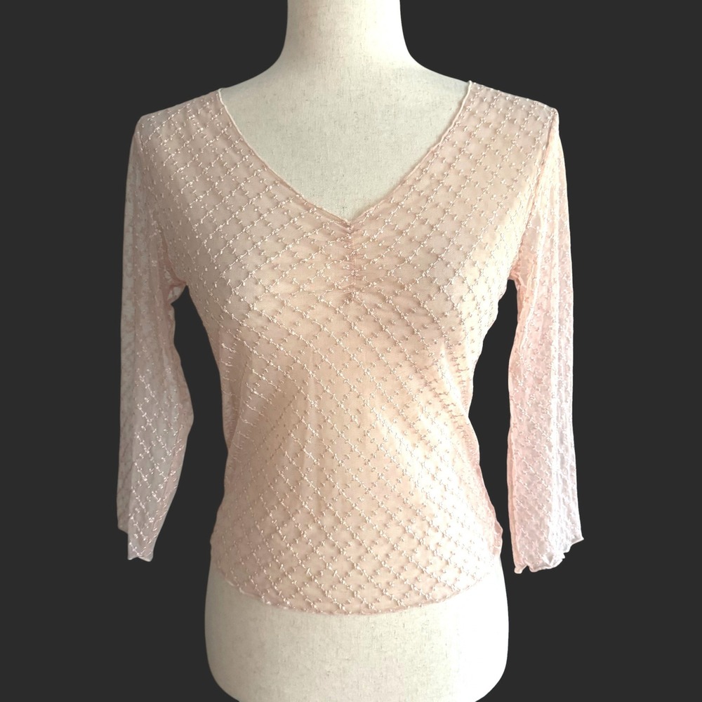 The Limited Pink Sheer Mesh Embroidered V-Neck coquette Top Sz 4 6 Romantic goth